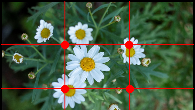 สร้างความน่าสนใจให้ภาพด้วยจุดตัด 9 ช่อง