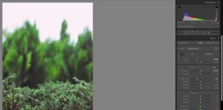 LR-การสร้างและ Import Preset LR-การสร้างและ Import Preset