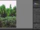 LR-การสร้างและ Import Preset LR-การสร้างและ Import Preset