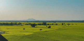 ที่พักภาคอีสาน: โรงแรมบูติกและรีสอร์ทสวยบรรยากาศดี