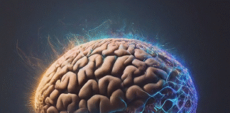 นวัตกรรม AI สุดล้ำ: เทรนด์ที่ไม่ควรพลาด