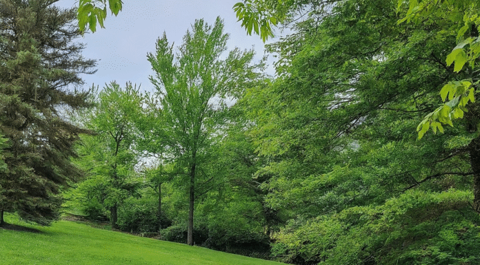 ที่เที่ยวธรรมชาติใกล้กรุงเทพ เดินทางสะดวก